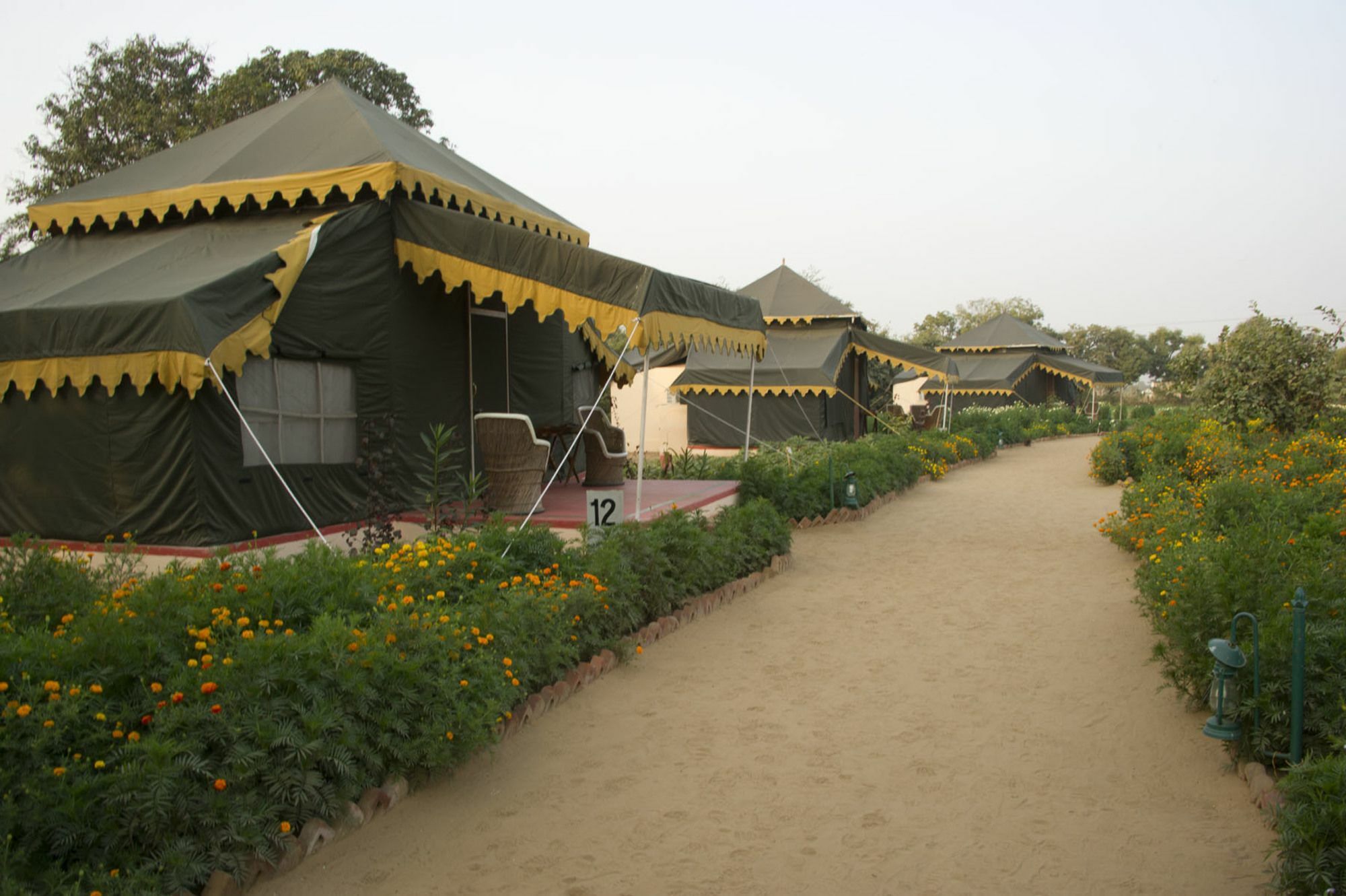 Orchard Tents & Tranquility Pushkar Exterior photo